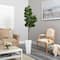 6ft. Fiddle Leaf Fig Tree in Tall White Planter